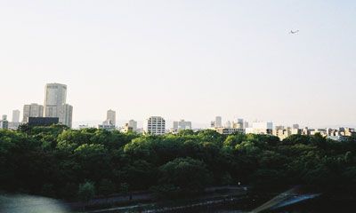 Что такое земли населенных пунктов (ЗНП)